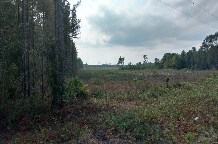 47.1 +/- ACRES IN SAMPSON CO NC Image 7