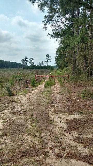 47.1 +/- ACRES IN SAMPSON CO NC Image 15